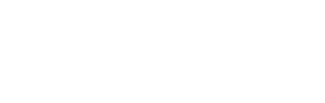 Arcturus Labs
